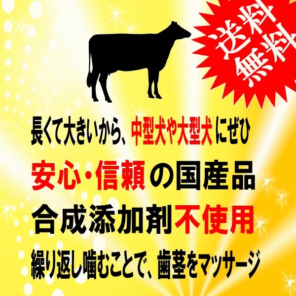 ■2111円~■全国送料無料!【国産牛アキレス 薄型ロングタイプ】90g 国産天然素材を乾燥。時間持ちする噛みごたえのある無添加おやつ_画像2