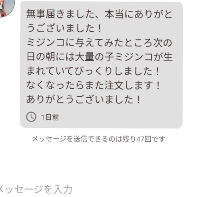 原液の濃さが違います★畫像確認(rèn)お愿い致します★絶対の自信あり★送料無(wú)料★ネコポス発送★生クロレラ原液300mlパウチ容器発送