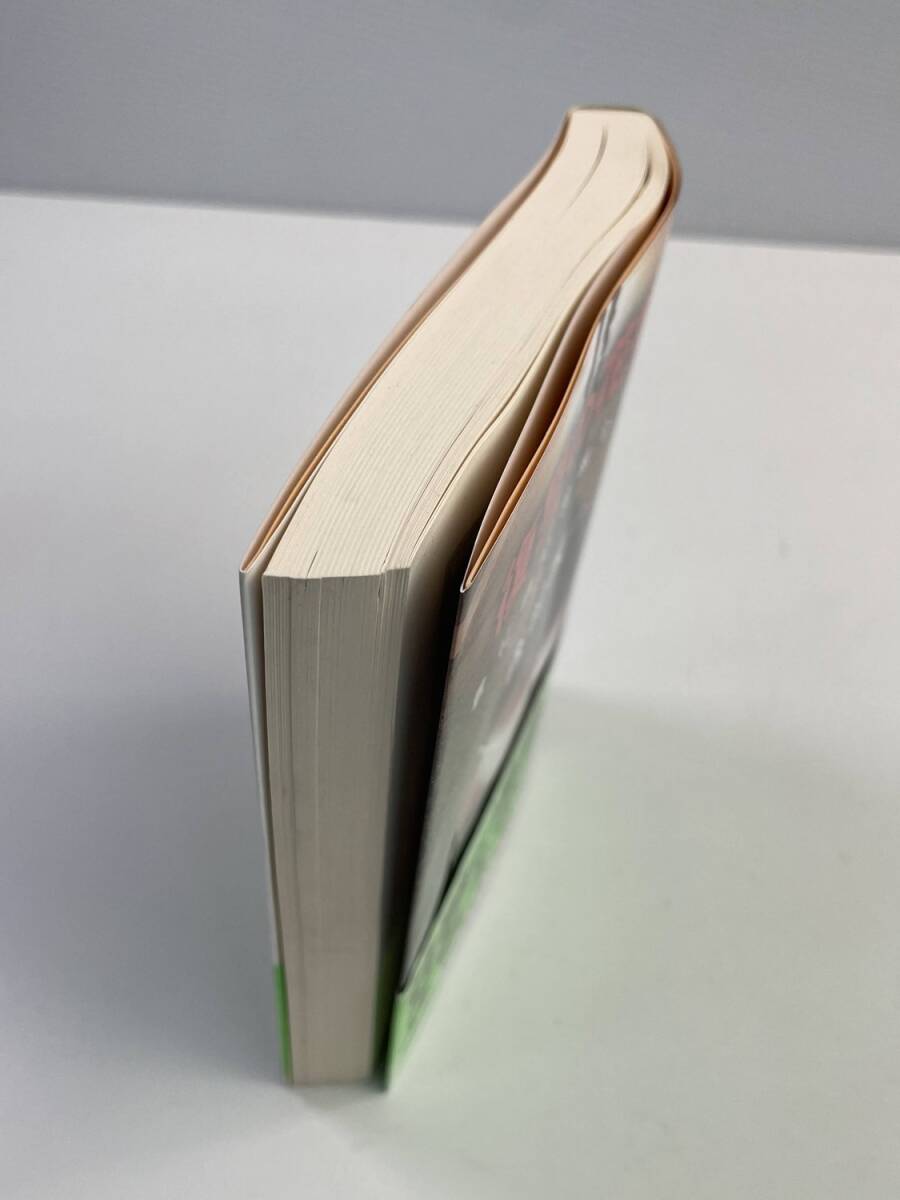 復讐の花期 君に白い羽根を返せ 講談社文庫　森村誠一著者　平成28年 2016年発行　初版【K184196】_画像2