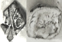 フランス　シルバースプーン2本　アールヌーボー　純銀_画像7