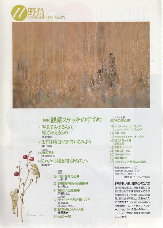 §C1 野鳥 WILD BIRDS NO.574 1994/11 特集 観察スケッチのすすめ キジ ゴイサギ ダイサギ_画像2