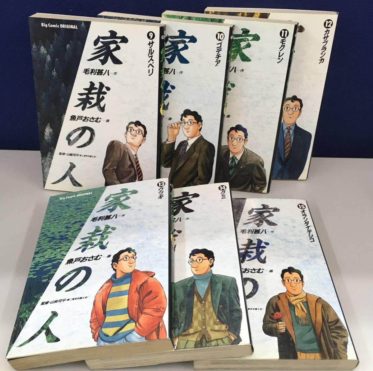 K1008-54　家裁の人　1～15巻　全巻セット（9～15巻初版本）毛利甚八/魚戸おさむ ビッグコミックオリジナル　小学館　_画像3
