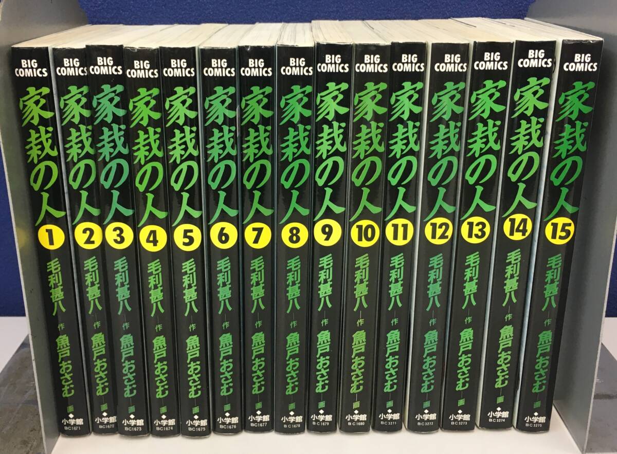 K1008-54　家裁の人　1～15巻　全巻セット（9～15巻初版本）毛利甚八/魚戸おさむ ビッグコミックオリジナル　小学館　_画像1