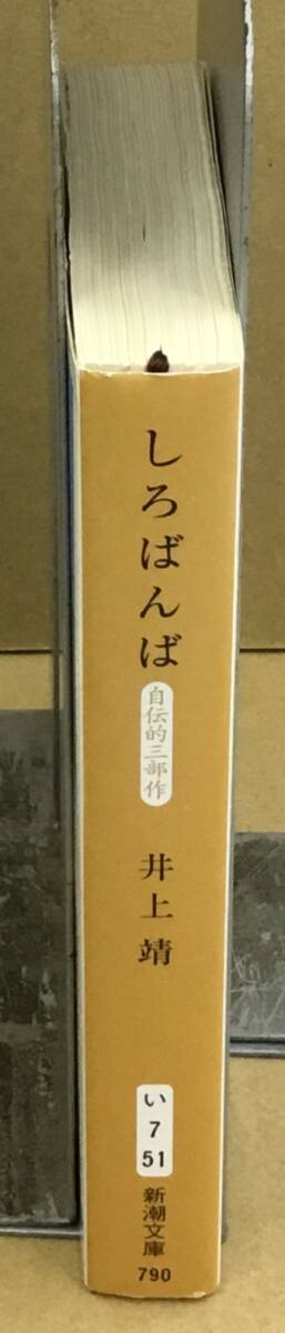 K1006-08..... Inoue Yasushi Shincho Bunko эпоха Heisei 31 год 3 месяц 20 день no. 94. выпуск 