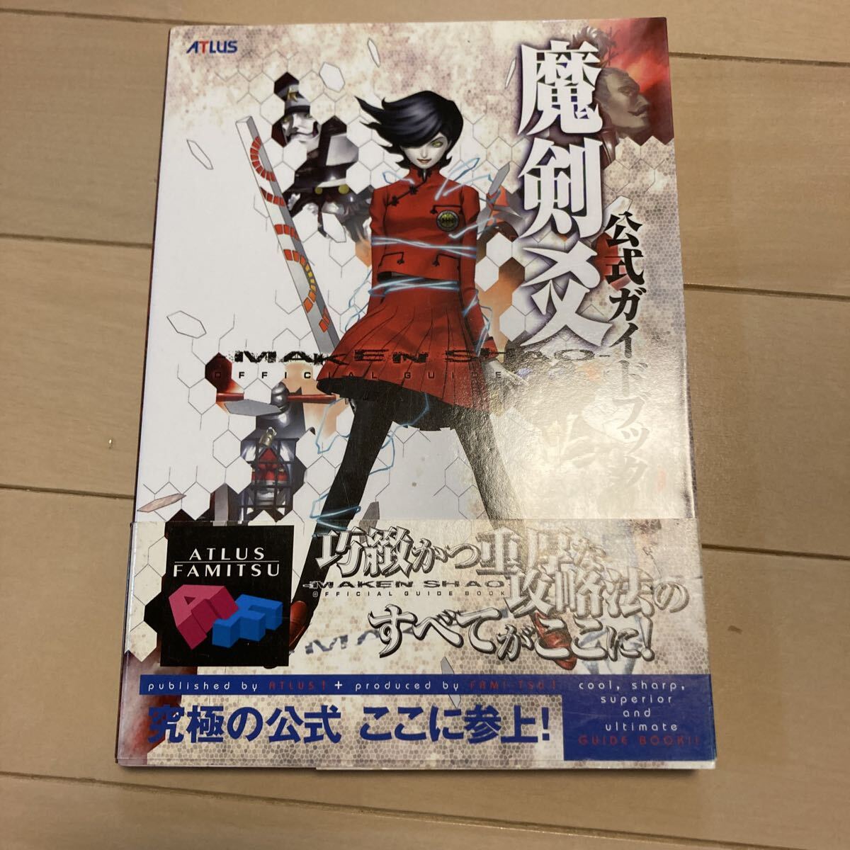 魔剣 シャオ MAKEN SHAO 公式ガイドブック 中古品 即決 送料込み_画像1