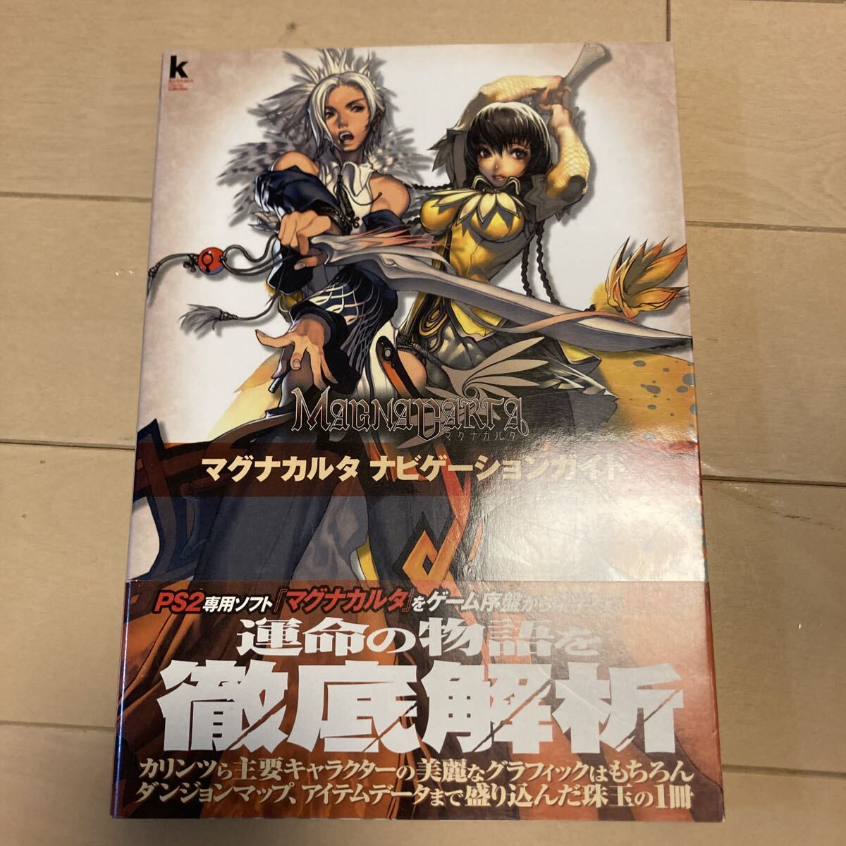 マグナカルタ ナビゲーションガイド 中古品 即決 送料込み 本本体傷みあります。_画像1