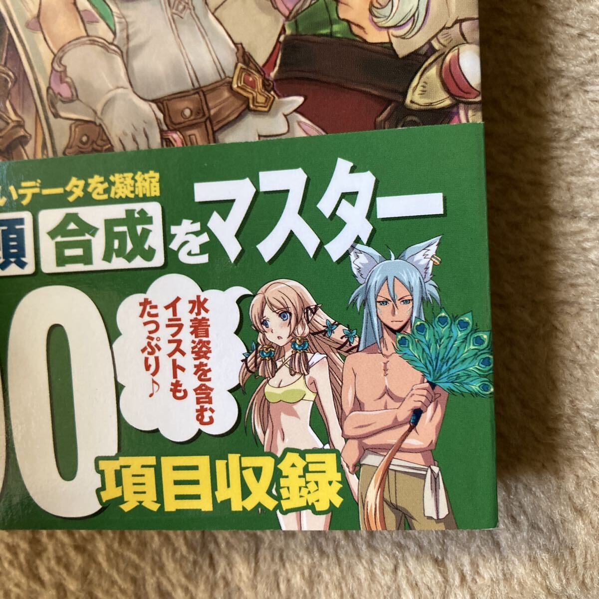 ルーンファクトリー4 公式ガイドブック　中古品　即決　送料込み_画像5