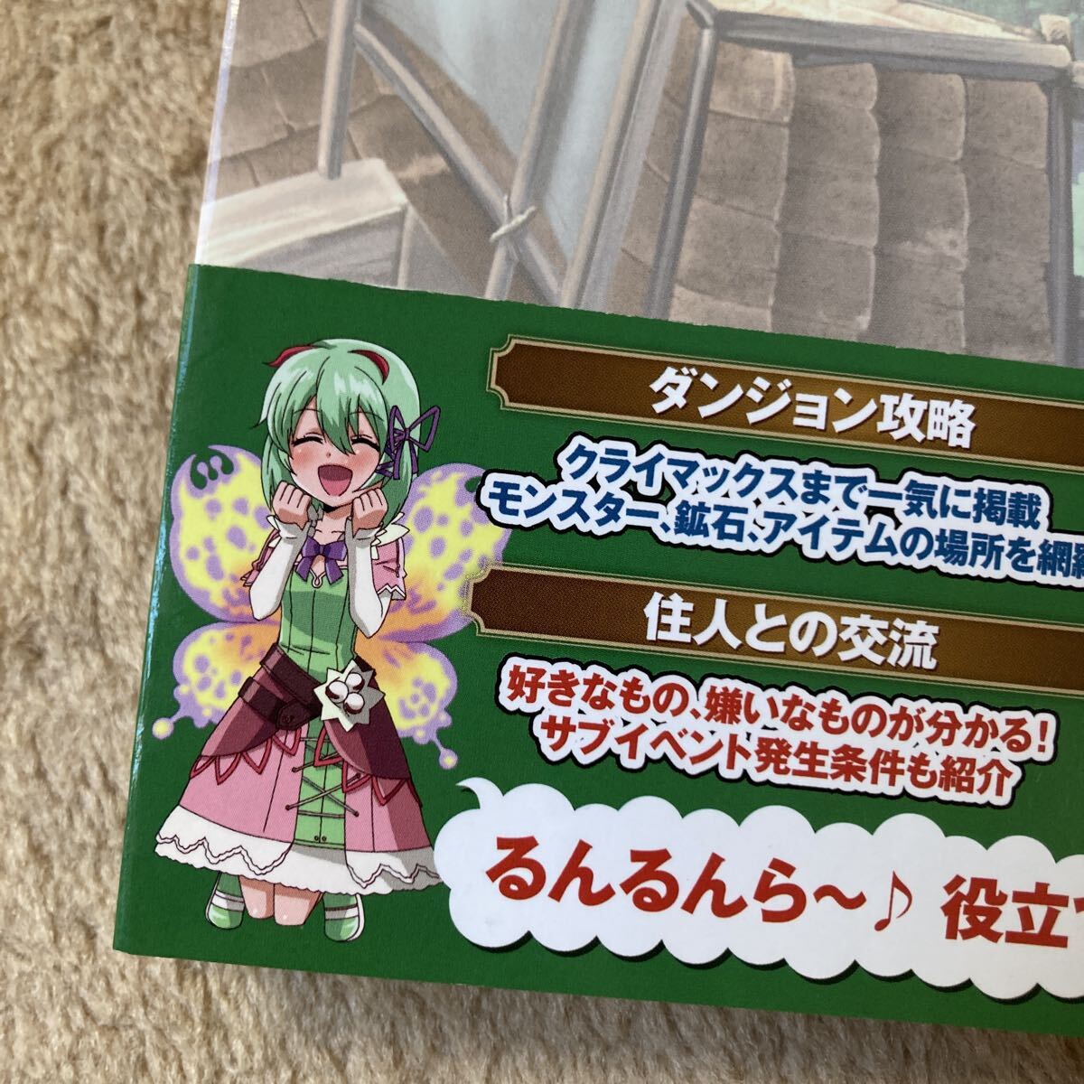 ルーンファクトリー4 公式ガイドブック　中古品　即決　送料込み_画像6