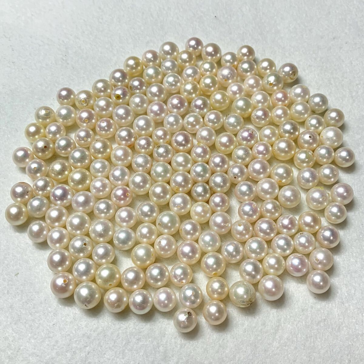 ◯アコヤ本真珠おまとめ502ct◯o 約100.4g 約7.0-8.0mm pearl パール 真珠 ルース 裸石 宝石 あこや 片穴 両穴 w4ま3_画像4