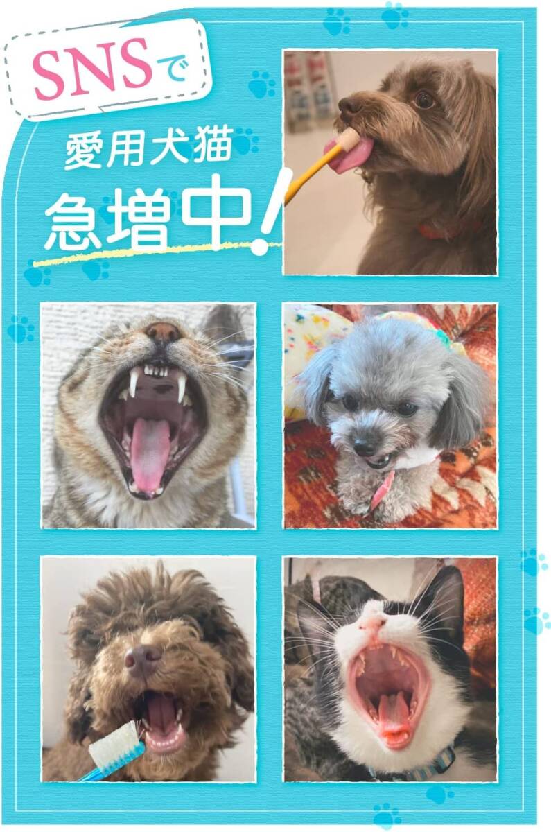 口腔歯ブラシ デンタルケア ガム ペット 口臭 猫 はみがき 歯垢 歯磨き ジェル 歯石取り 犬 30g ニオワン_画像3