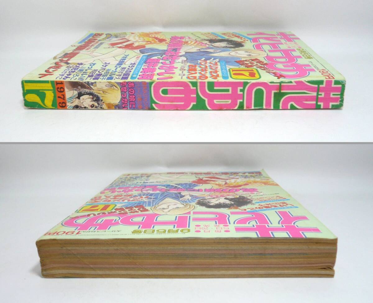 『花とゆめ』1979年第17号(9月5日号) 銀河鉄道999 松本零士 和田慎二 神坂智子 美内すずえ 川崎ひろこ こやのかずこ 長広洋子 昭和54年_画像3