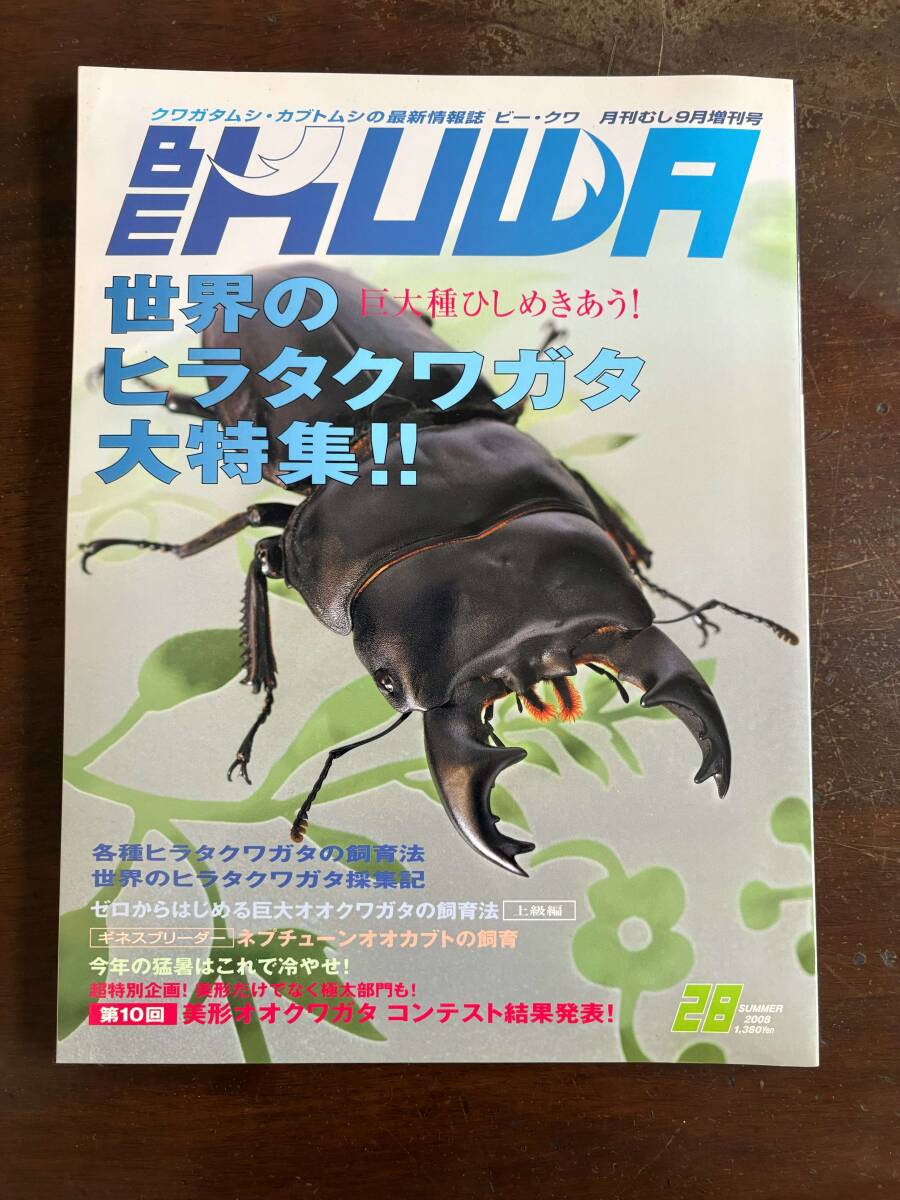 BE KUWA ビークワ No.28■世界のヒラタクワガタ大特集_画像1