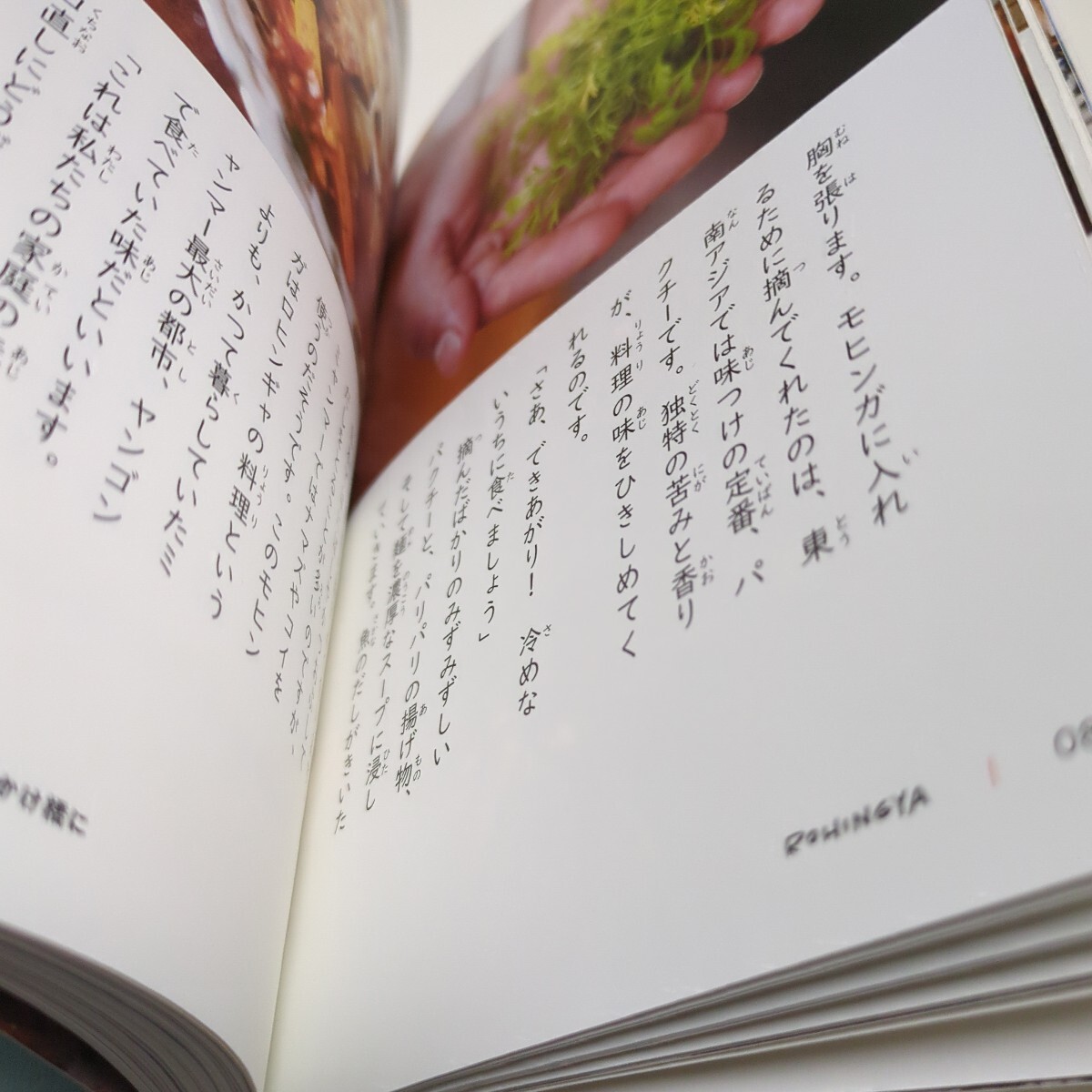 故郷の味は海をこえて 「難民」として日本に生きる (ポプラ社ノンフィクション 37 平和) 安田菜津紀/著・写真 中古_画像7