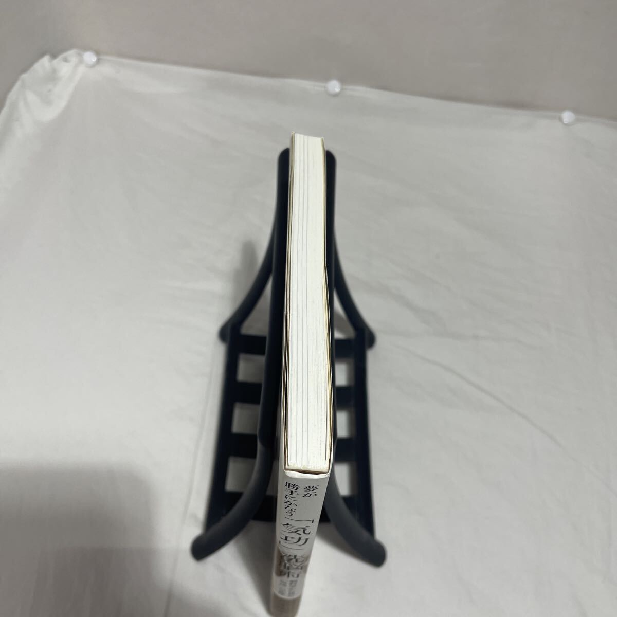 ★CD無し★ 夢が勝手にかなう 「気功」洗脳術★脳科学から見た「気功」の正体　古本　マキノ出版　苫米地英人_画像6