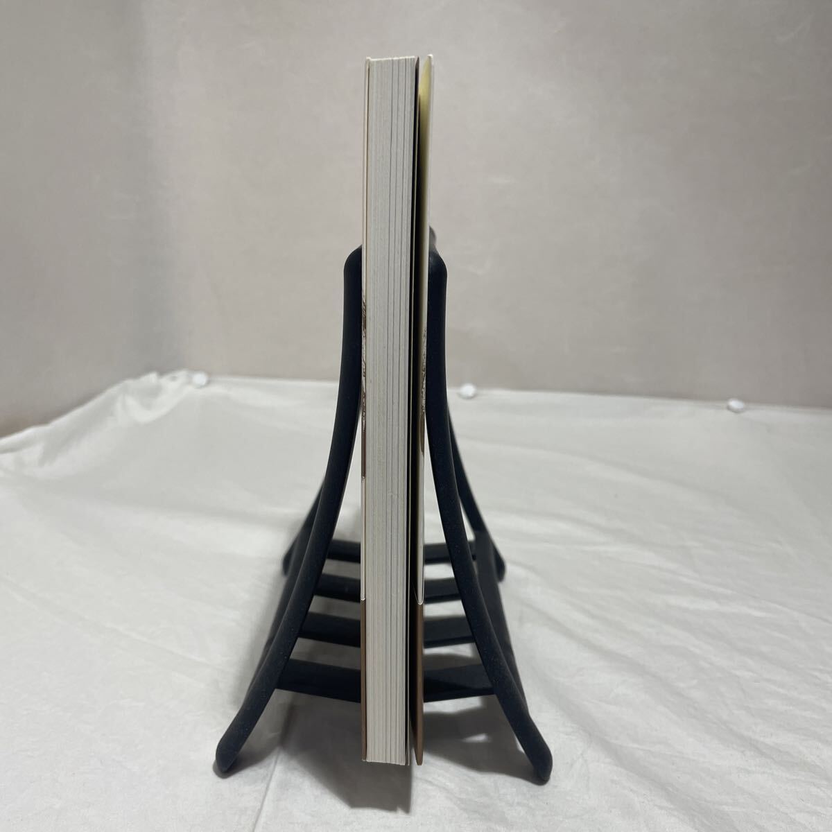 ★CD無し★ 夢が勝手にかなう 「気功」洗脳術★脳科学から見た「気功」の正体　古本　マキノ出版　苫米地英人_画像7