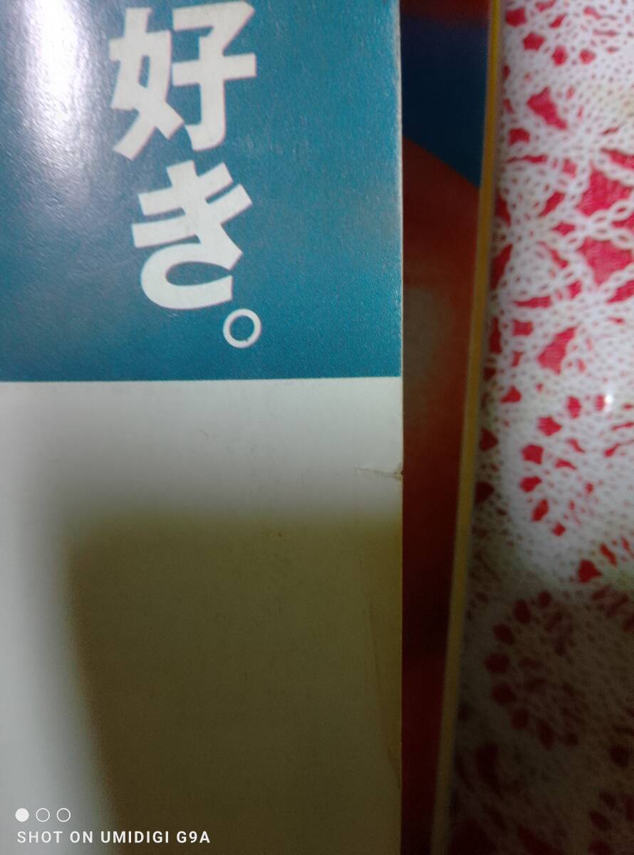 PLAYBOY プレイボーイ 1987年6月号・1987年7月号☆2冊セット〇南條玲子/森田典子(青田典子)ヌード/桃井かおり/紺野皆子/ライオネルリッチー_画像10