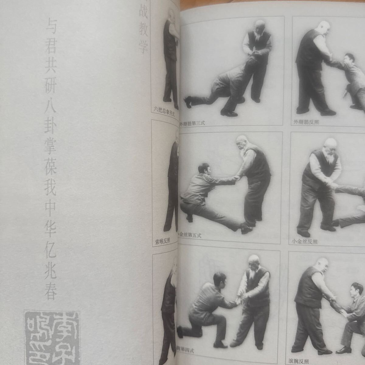 【中国武術】八卦掌宗　李子鳴　内容豊富_画像4