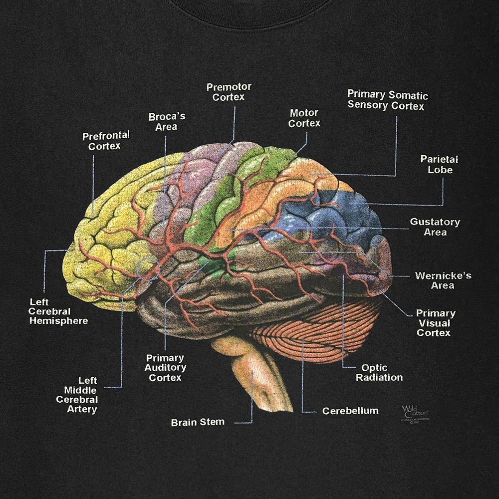 00s ビンテージ ANATOMICAL 脳みそ Tシャツ XL 黒 フェードブラック anvil アナトミカル ブレイン ヘッド 解剖 人体 模型 90s USA 古着_画像2