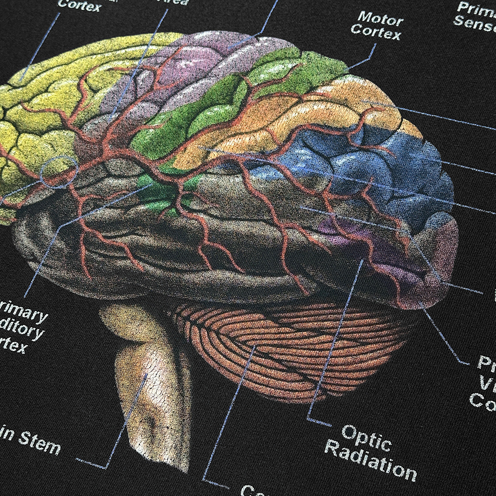 00s ビンテージ ANATOMICAL 脳みそ Tシャツ XL 黒 フェードブラック anvil アナトミカル ブレイン ヘッド 解剖 人体 模型 90s USA 古着_画像3