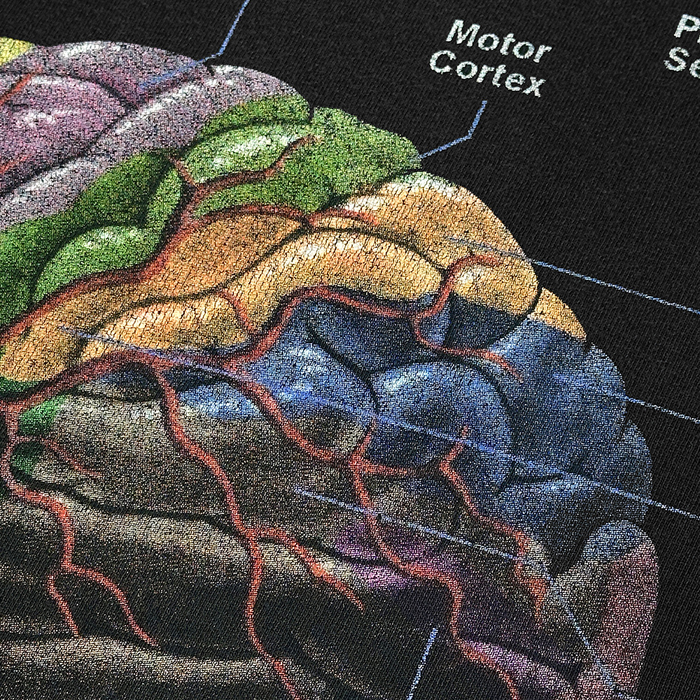 00s ビンテージ ANATOMICAL 脳みそ Tシャツ XL 黒 フェードブラック anvil アナトミカル ブレイン ヘッド 解剖 人体 模型 90s USA 古着_画像6