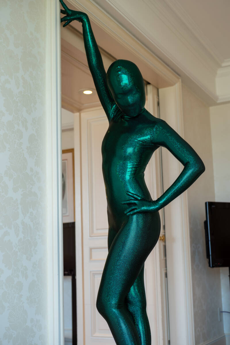 17070202 [A room with Jewel Beetle] Sale of Zentai Pictures by Marcy Anarchy_画像2