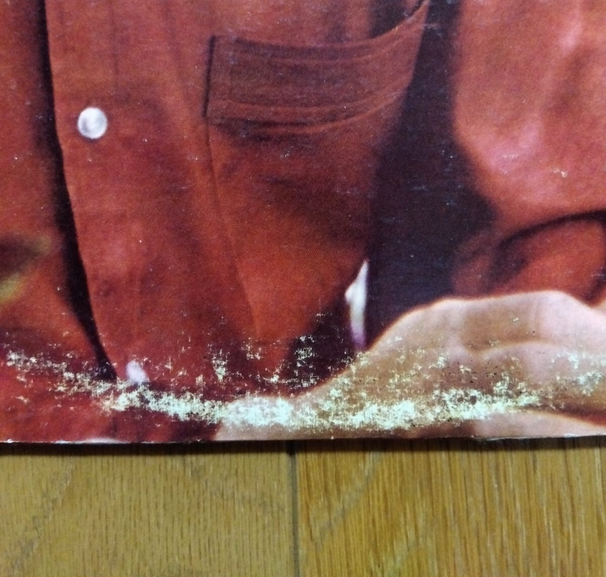 Tim Hardin 1 ティム・ハーディン US盤 アナログ LP モノラル_画像5