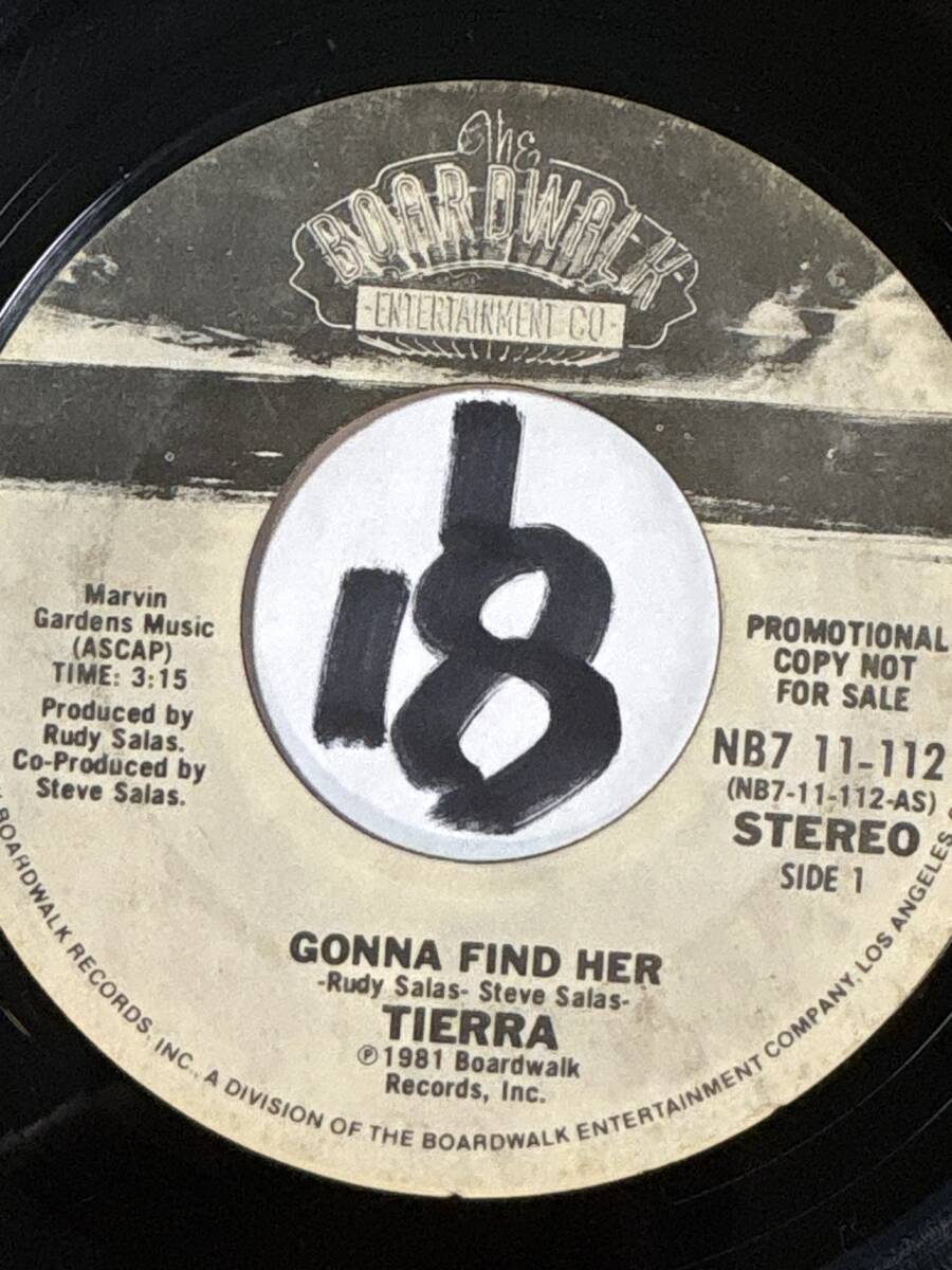 TIERRA GONNA FIND HER STEREO PROMO PRESS 両面EX 1981 スイート&メロウ・ソウル/南国ムードのラウンジ・ソウル _画像1