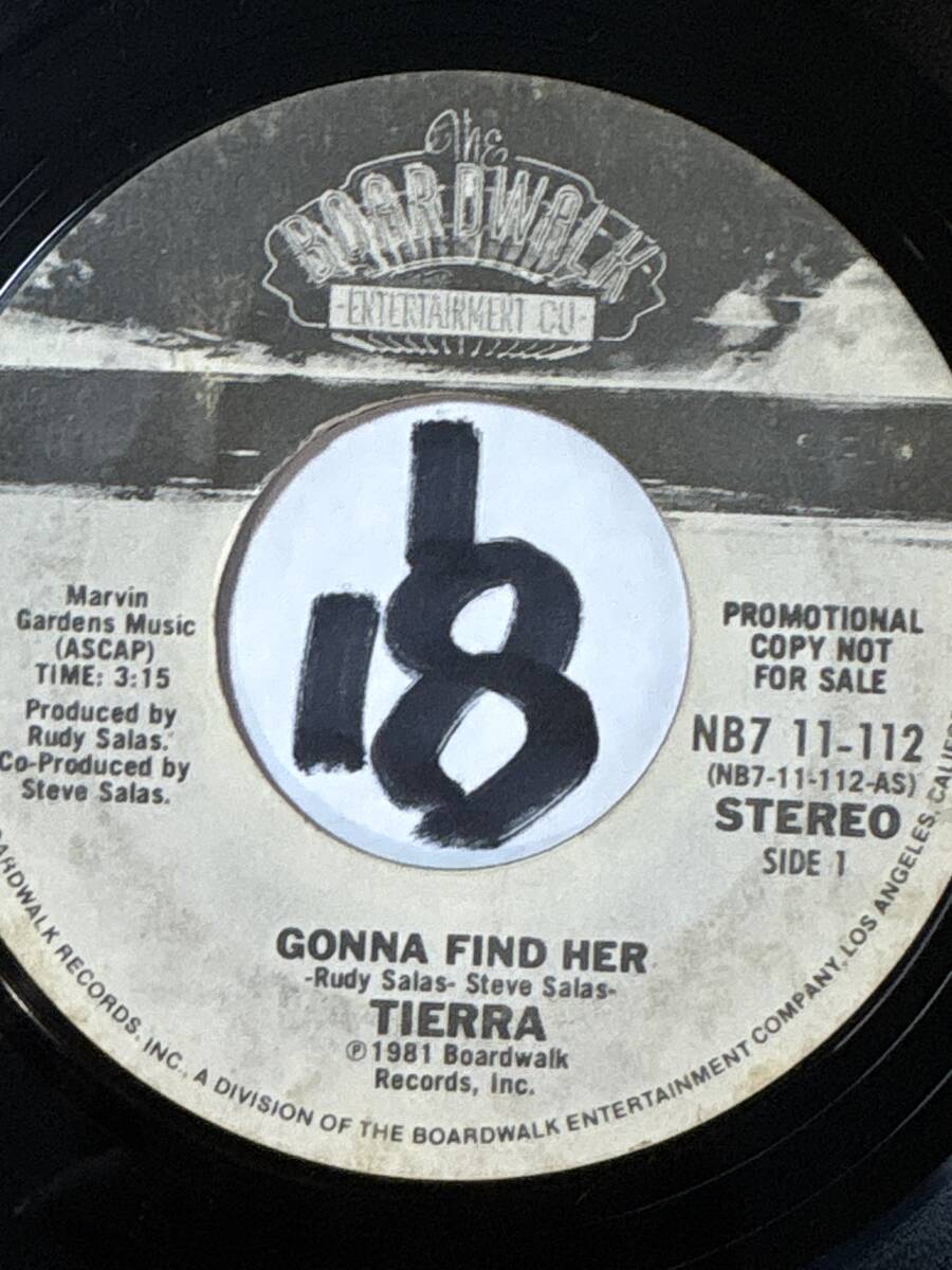 TIERRA GONNA FIND HER STEREO PROMO PRESS 両面EX 1981 スイート&メロウ・ソウル/南国ムードのラウンジ・ソウル _画像2