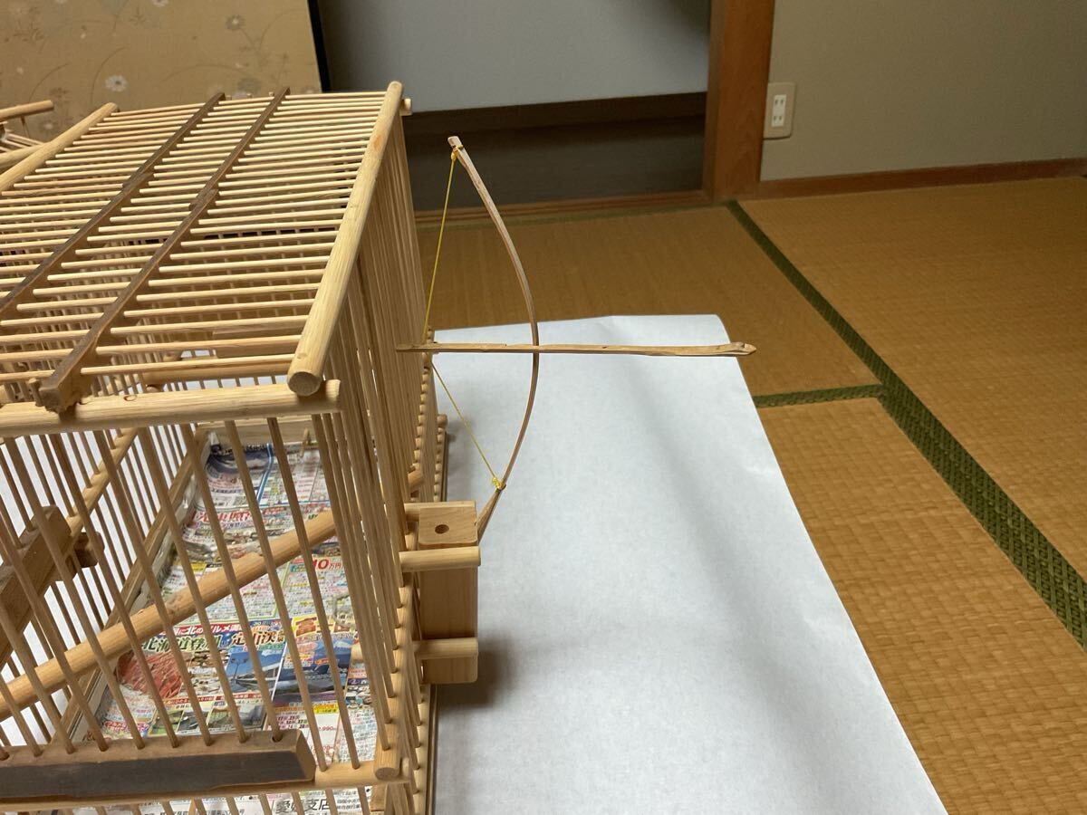  маленькая птица . для бамбук .