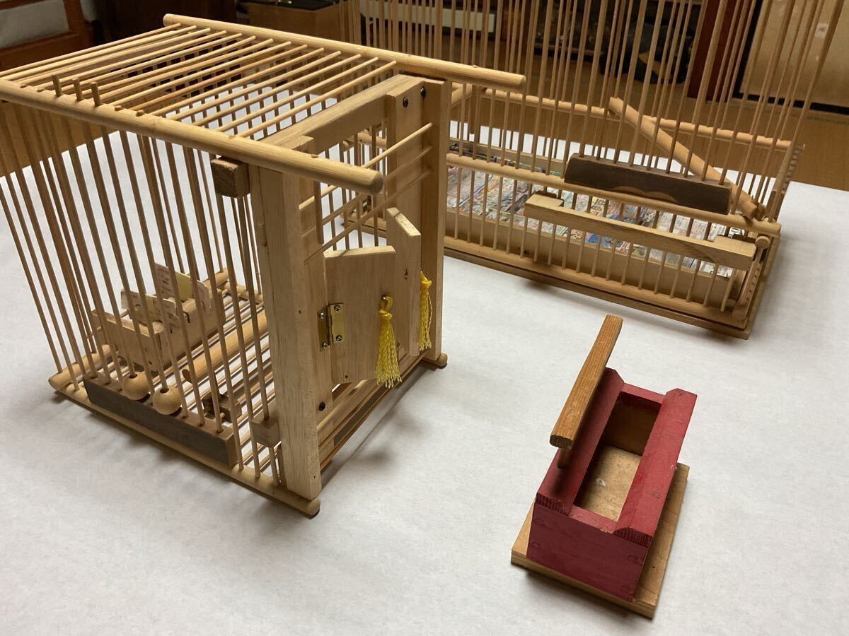  маленькая птица . для бамбук .