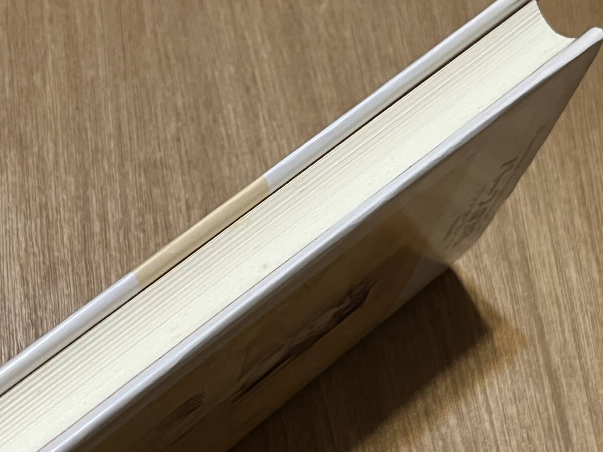 ブラウリオ・アレナス『パースの城』(本) 文学の冒険シリーズ 平田渡 国書刊行会_画像8