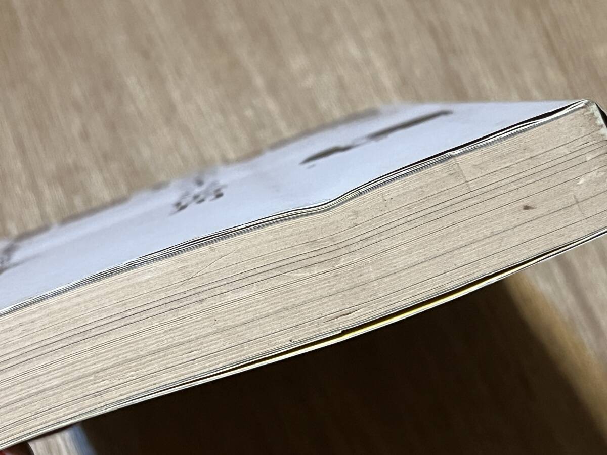 海野弘『ジャズ・エイジの街角』(本) 森田義信_画像9