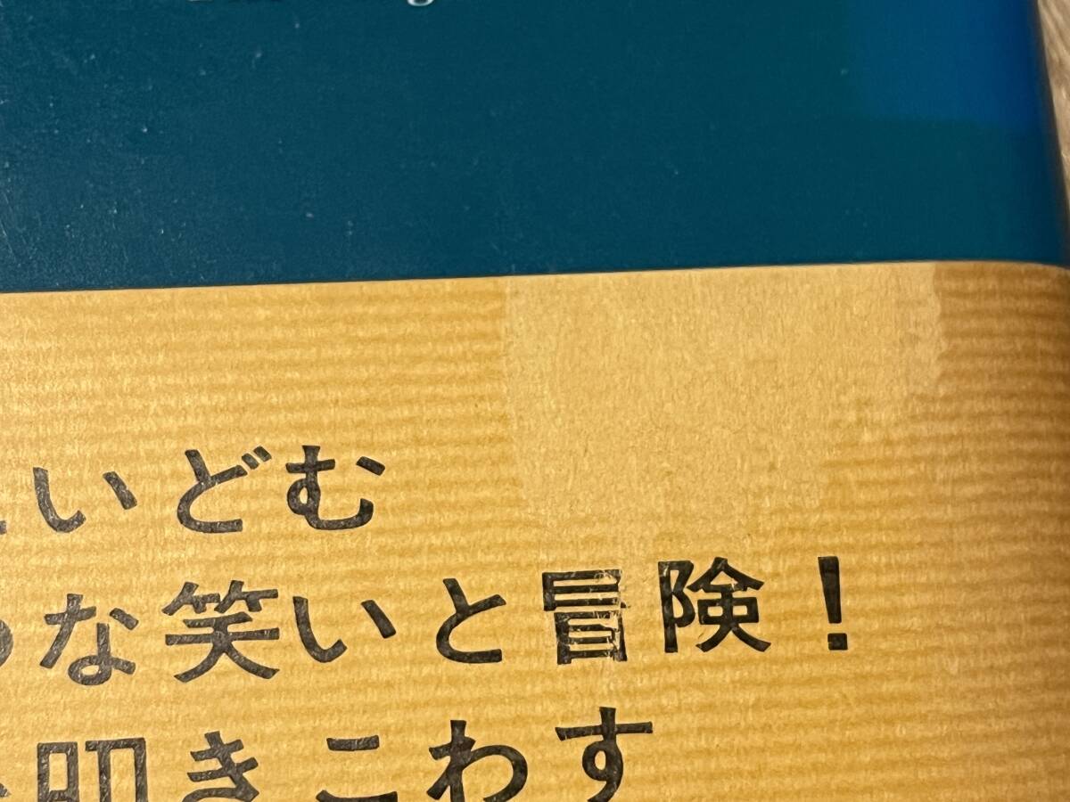 テリイ・サザーン『怪船マジック・クリスチャン号』(本) ブラック・ユーモア選集 稲葉明雄_画像8