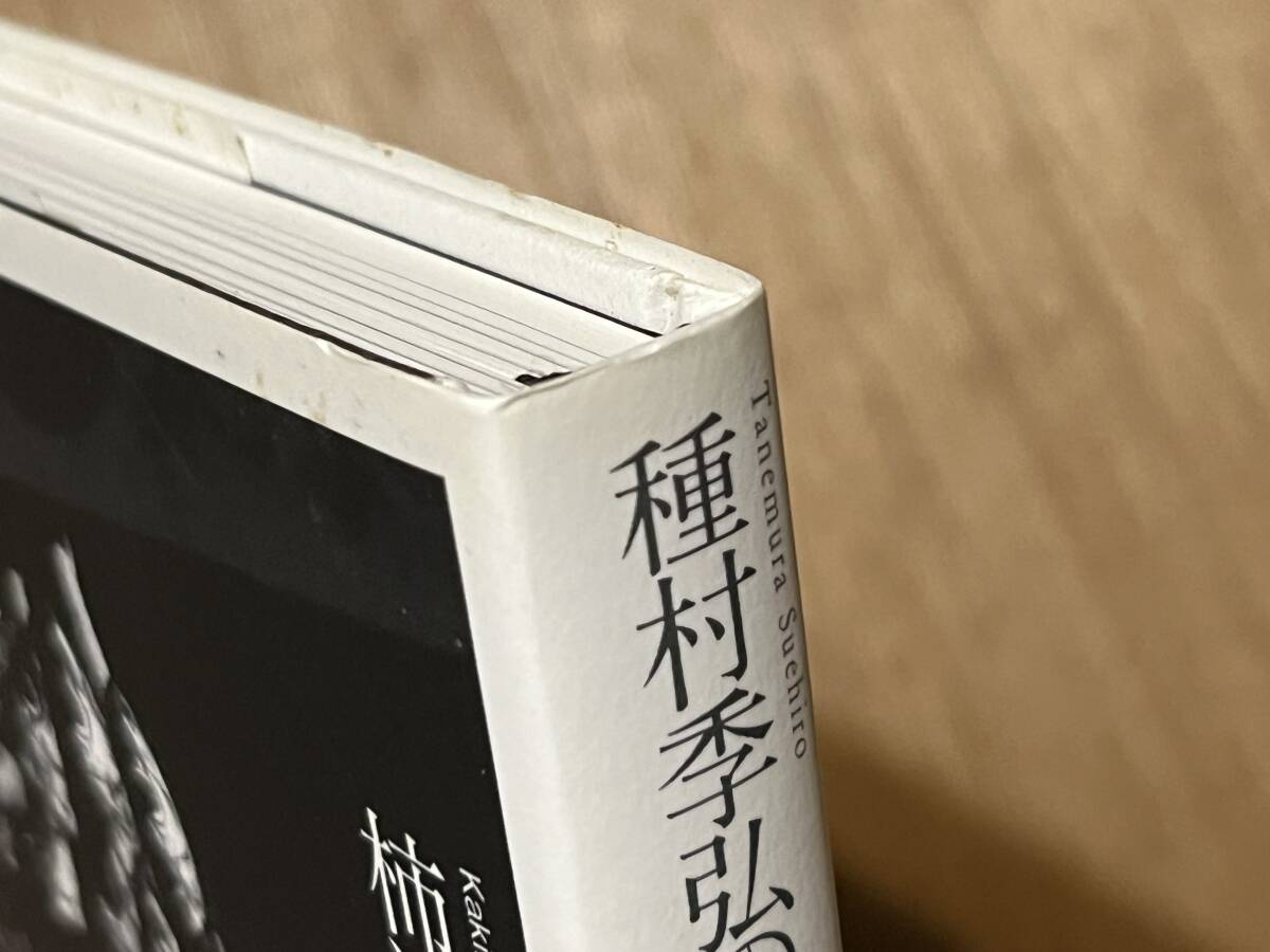 柿沼裕朋『種村季弘の眼 迷宮の美術家たち』(本)_画像3