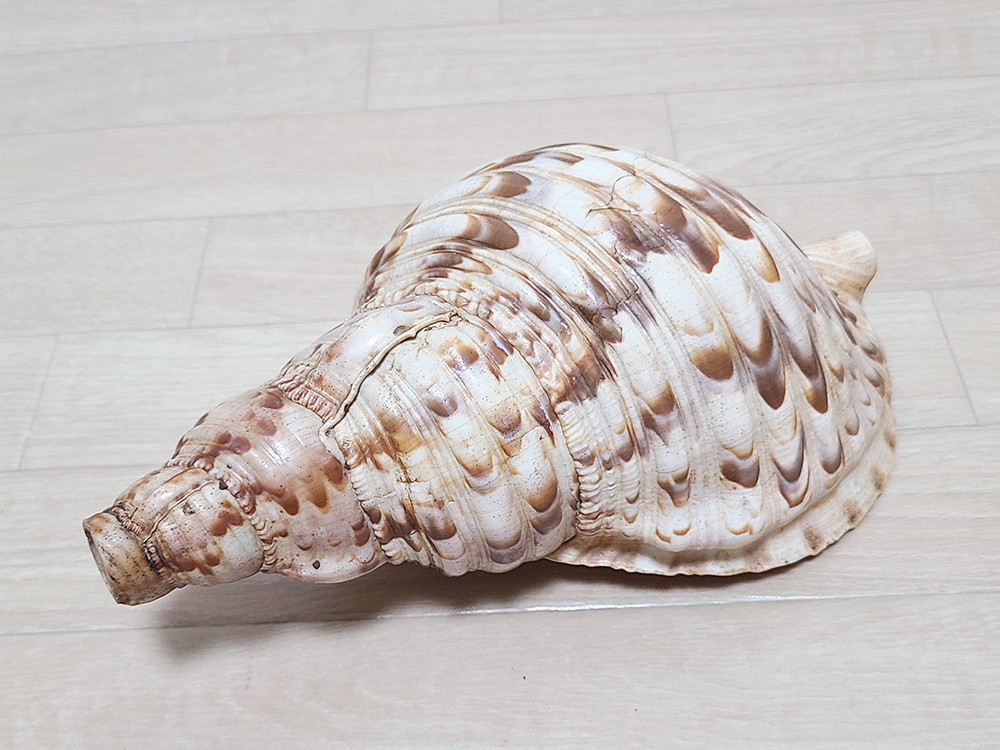 (21).. закон . закон .. длина 25.5cm ho la..... буддизм изобразительное искусство звуки предмет .. буддизм предметы для домашнего буддийского алтаря храм . традиционные японские музыкальные инструменты подлинный ..