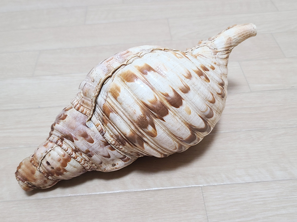 (21).. закон . закон .. длина 25.5cm ho la..... буддизм изобразительное искусство звуки предмет .. буддизм предметы для домашнего буддийского алтаря храм . традиционные японские музыкальные инструменты подлинный ..