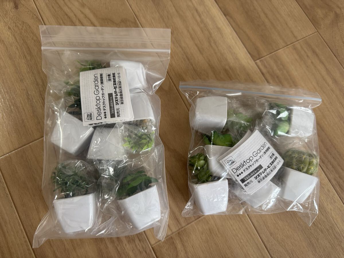ガチャ　デスクトップガーデン【観葉植物】【多肉植物】12個まとめて　コロコロ　システムサービス株式会社　ドールハウス　ミニチュア　_画像1