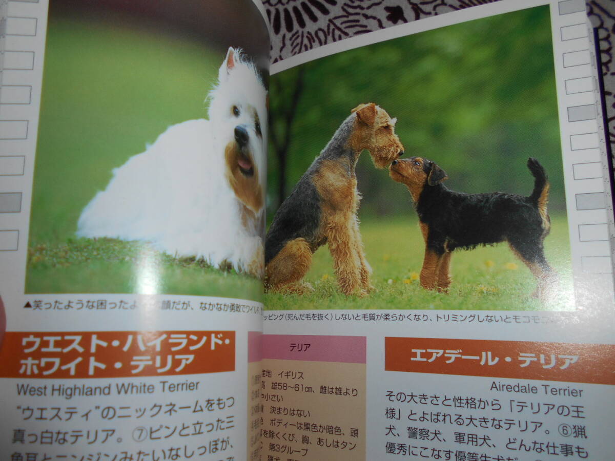 ★いぬ・ねこ (ヤマケイポケットガイド)植木裕幸、福田豊文★犬・猫を飼育したい方、パラパラ眺めて、自分に合ったペットを探してください_画像6