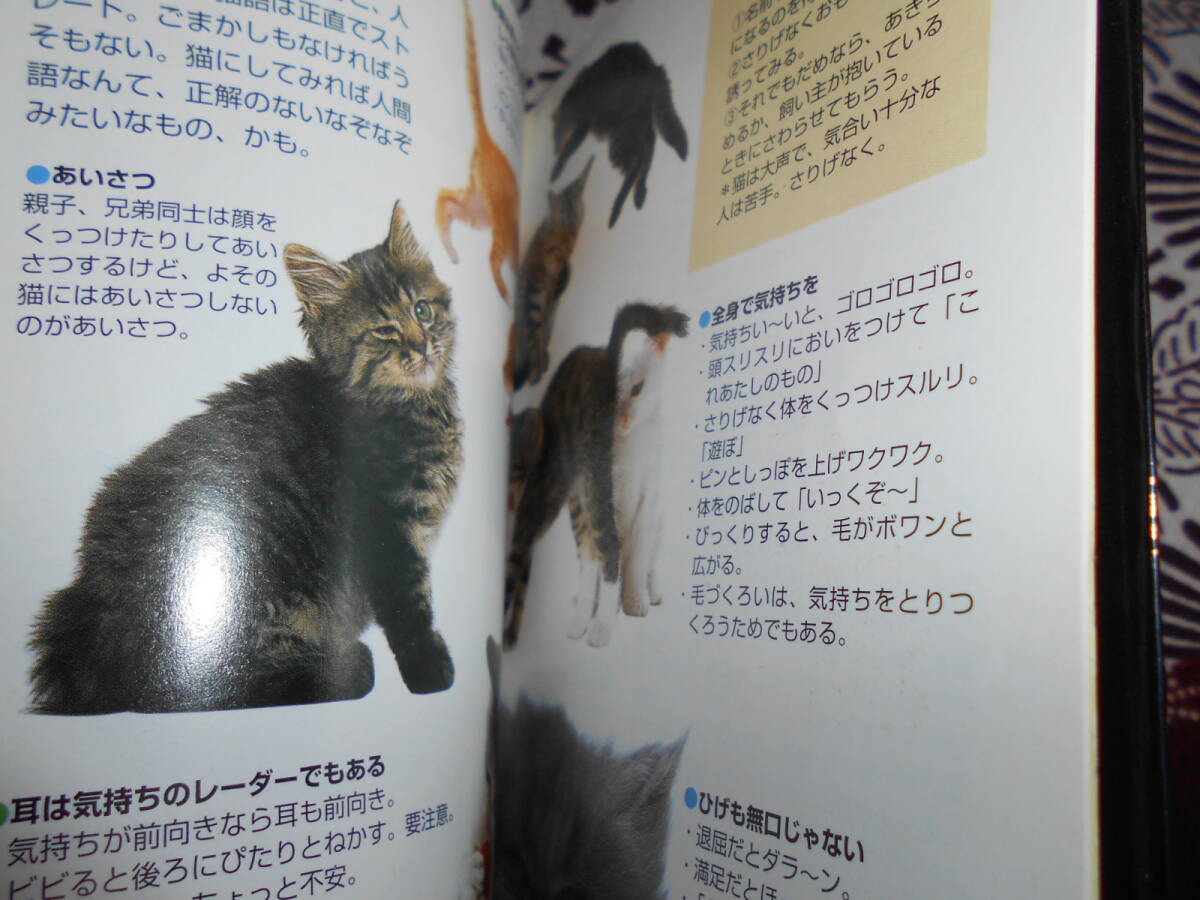 ★いぬ・ねこ (ヤマケイポケットガイド)植木裕幸、福田豊文★犬・猫を飼育したい方、パラパラ眺めて、自分に合ったペットを探してください_画像10