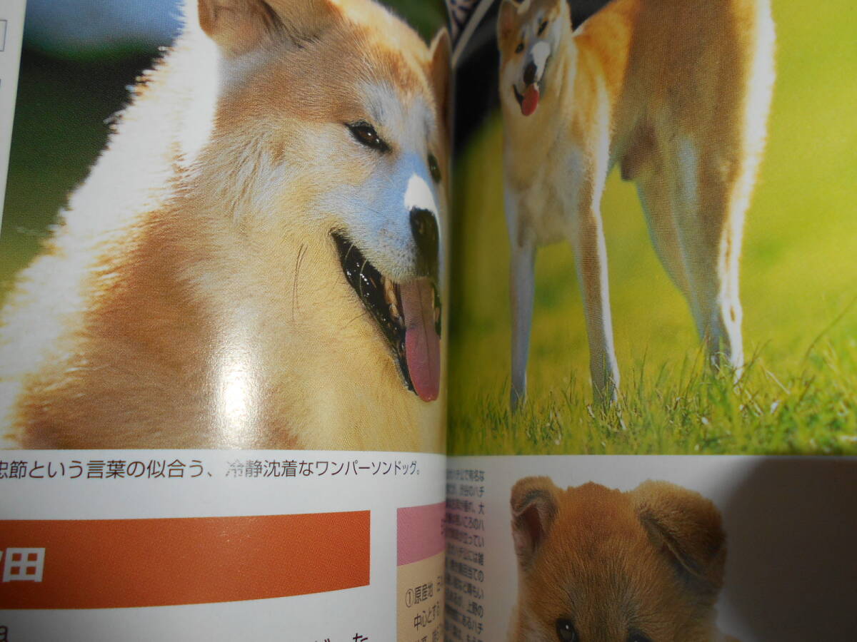★いぬ・ねこ (ヤマケイポケットガイド)植木裕幸、福田豊文★犬・猫を飼育したい方、パラパラ眺めて、自分に合ったペットを探してください_画像8