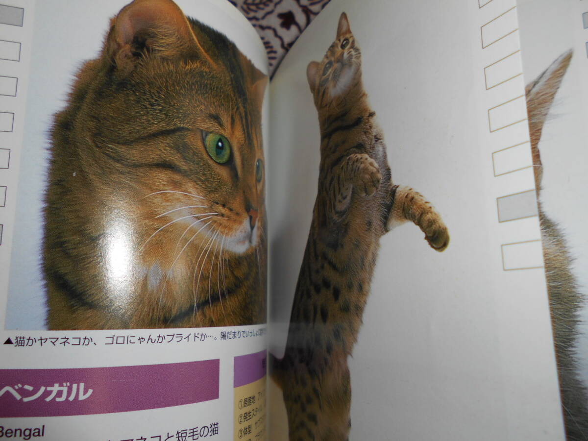 ★いぬ・ねこ (ヤマケイポケットガイド)植木裕幸、福田豊文★犬・猫を飼育したい方、パラパラ眺めて、自分に合ったペットを探してください_画像9