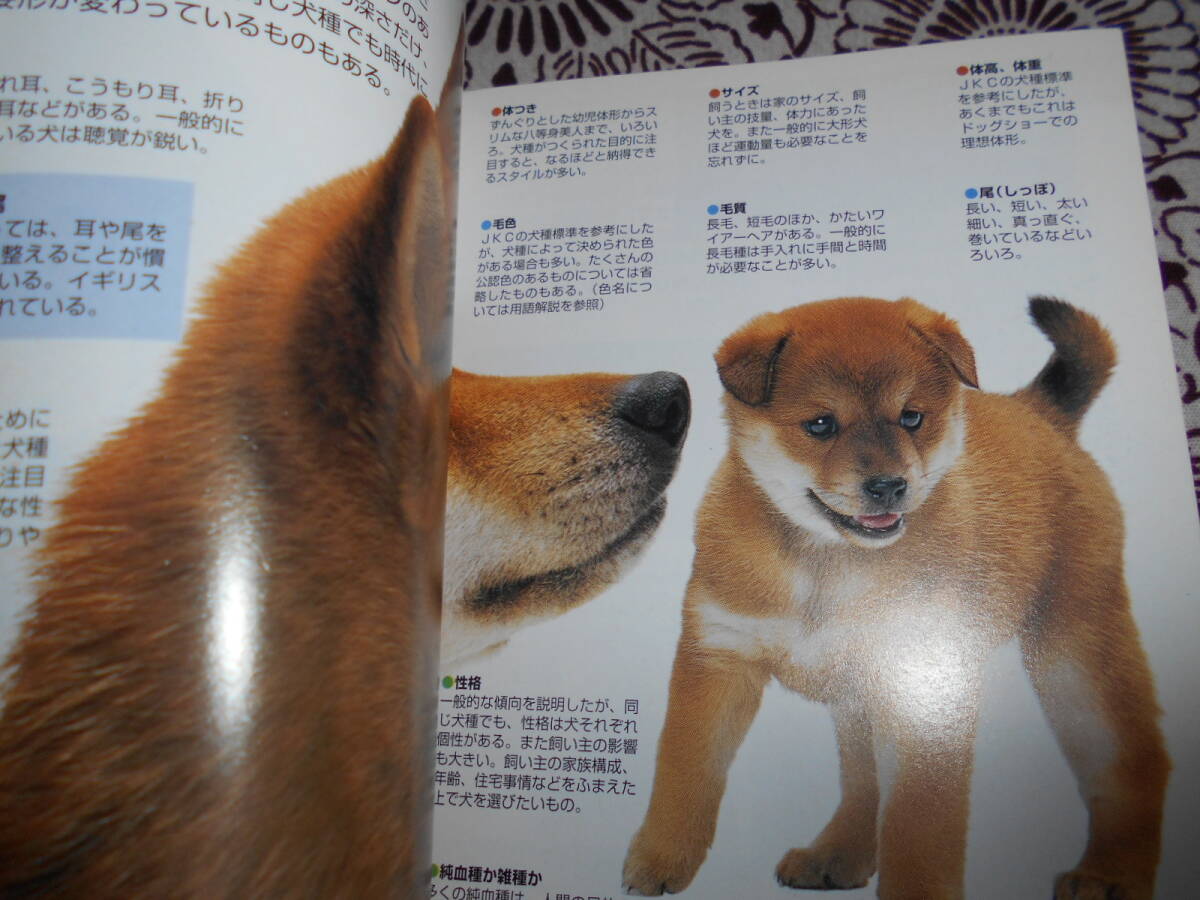 ★いぬ・ねこ (ヤマケイポケットガイド)植木裕幸、福田豊文★犬・猫を飼育したい方、パラパラ眺めて、自分に合ったペットを探してください_画像4