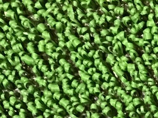 キャスコ ドルフィン アイアン アイアンセット DI-115 Dolphin Iron DI-115 5S レディース フレックスL 中古 Cランク_画像4