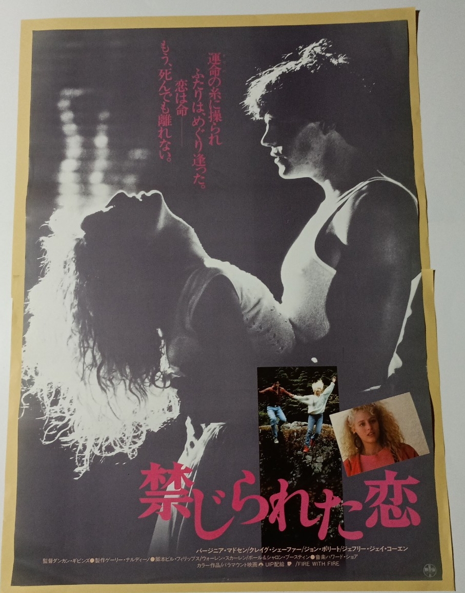 B2 映画ポスター[禁じられた恋]バージニア・マドセン/クレイグ・シェーファー/ダンカン・ギビンズ監督_画像1