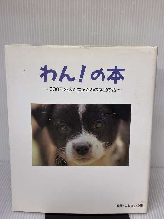 わんの本: 500匹の犬と本多さんの本当の話 ピンポイント 平野 優佳_画像1