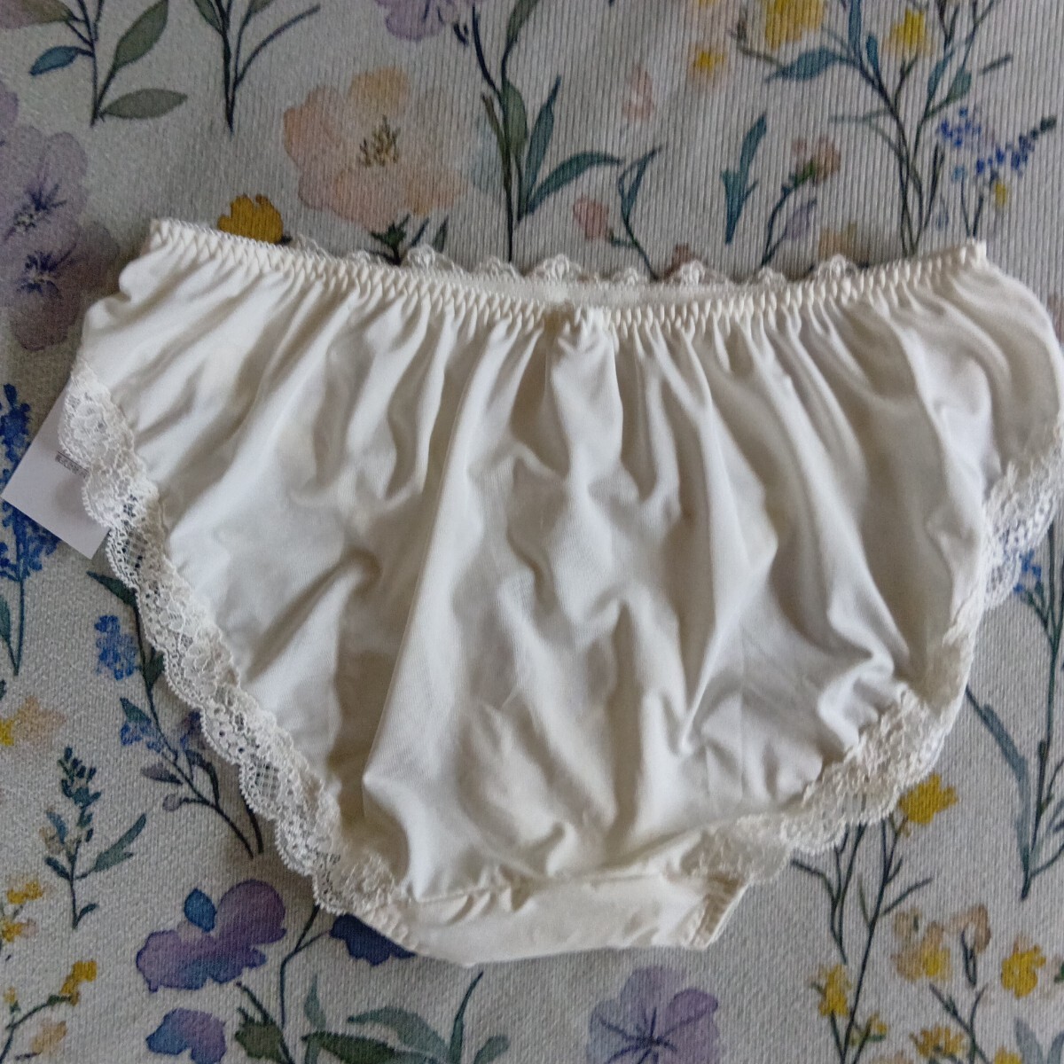 palissee 　パリシェ　白地フロントレース刺模様のショーツ　LL_画像4