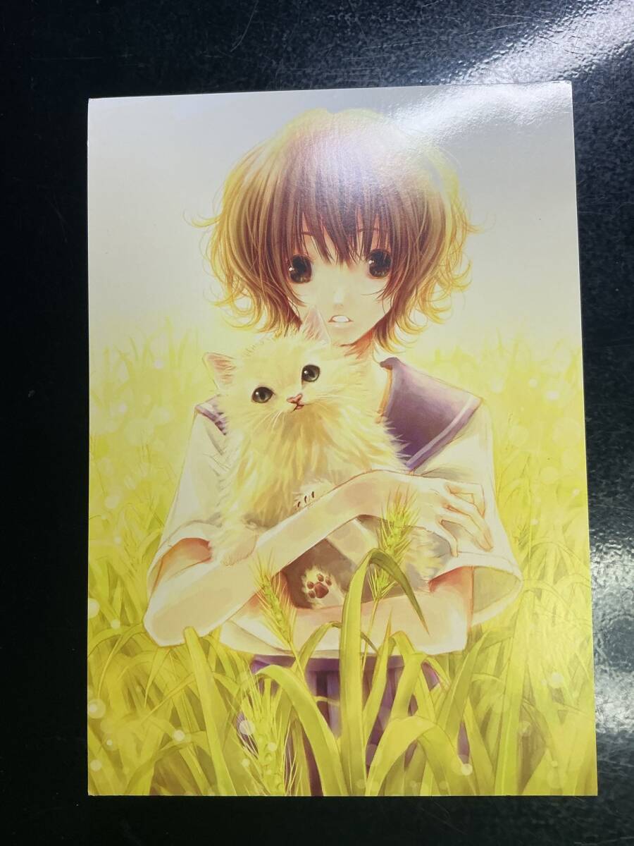 ∀ ポストカード②_画像1