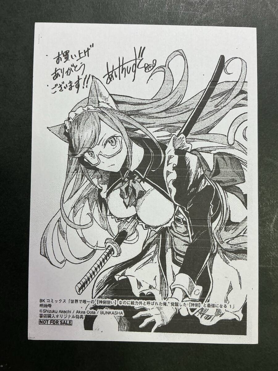 ∀ 世界で唯一の【神剣使い】なのに戦力外と呼ばれた俺、覚醒した【神剣】と最強になる 特典イラストペーパー_画像1