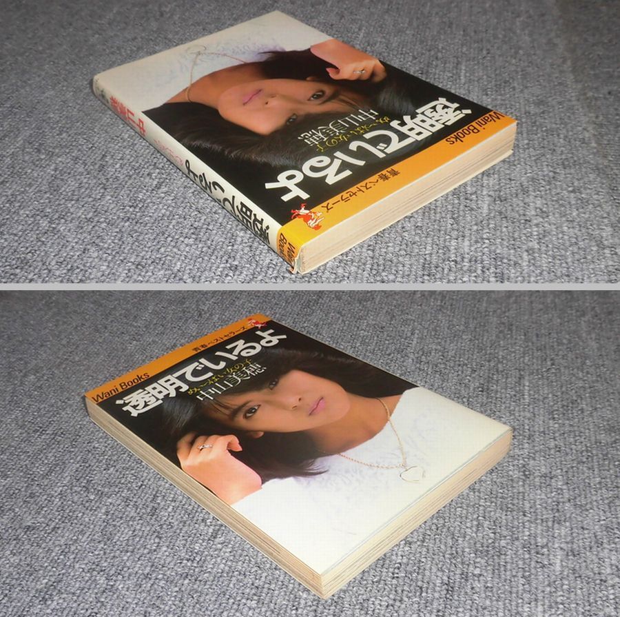 中山美穂　透明でいるよ　ワニブックス_画像3