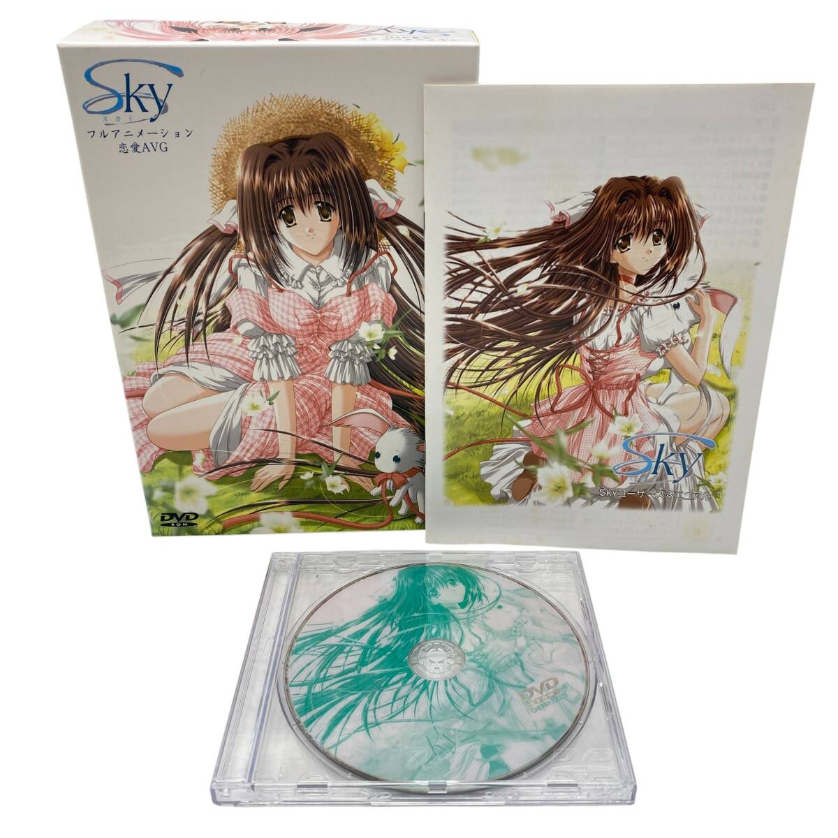 ちぇりーそふと SKY スカイ フルアニメーション 戀愛(ài) AVG PC ゲームソフト DVD-ROM Windows ※現(xiàn)狀品
